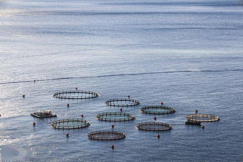 中国渔政 亮剑 2021规范水产养殖 推动渔业高质量发展