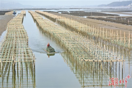 大力发展水产养殖业让渔民走上致富路
