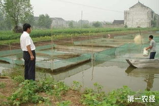 第一书记刘建波 筑牢党建基础 抓好精准扶贫