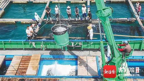 三亚湾海域农投国家级海洋牧场入选国家级海洋牧场示范区