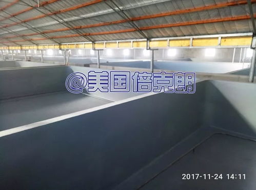 美国倍克朗联手水产上市公司 金盛水产打造养殖漆示范基地