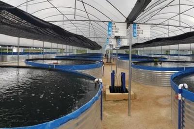 国家扶持的水产养殖业项目有哪些,看这5个