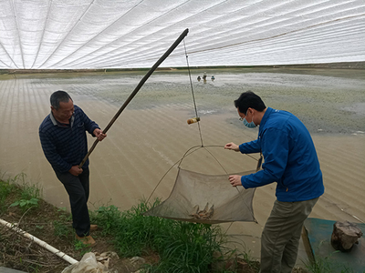 肇庆市水产技术推广中心开展防疫期水产养殖技术指导服务