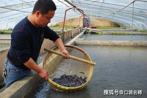 这些大学专业真的存在 葡萄干晾晒 水产养殖 你听过几个