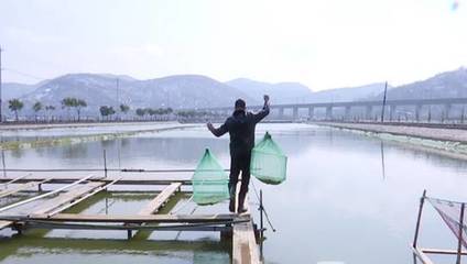 浦口区星甸街道:疫情防控农业生产两不误