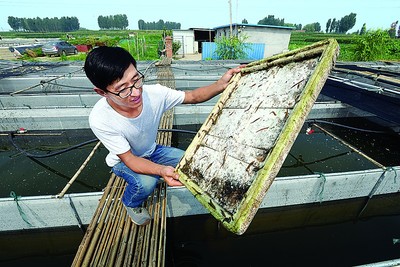 汶源水产养殖专业合作社:水蛭成致富增收“软黄金”