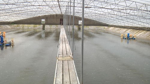 政策性保险补贴 助水产养殖业健康发展