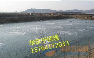 微孔曝气增氧机 曝气增氧泵 用于水产养殖专用风机