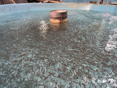 一个人 一群鱼 一条河 头图 曲靖频道 云南网