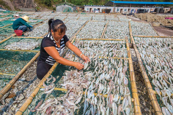 浙江宁波象山石浦港畔龙头鲓飘香_海产专题(海产品专题)_中国水产养殖网
