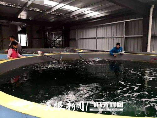 正安循环水养殖 鲜美海产品的可持续渔业之路