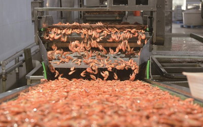 盐田虾鲜飘渤海湾，渔业捕捞新篇章