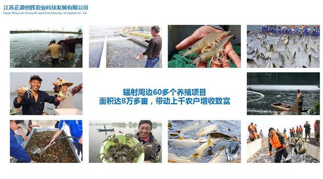 冲浪鱼之家 正源创辉农业科技发展公司——建湖县优秀农企渔业捕捞典范