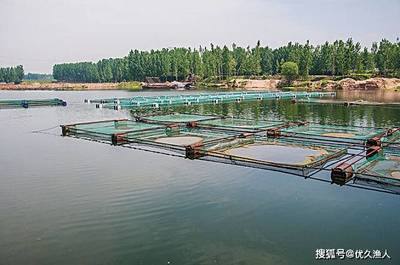 养殖水产品致富秘籍 如何选择适合的水产养殖项目